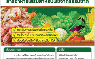 โครงการวิจัยและนวัตกรรมนี้อยู่ภายใต้แผนงาน การพัฒนาเทคโนโลยี /นวัตกรรมและการจัดการความรู้ชุมชนท้องถิ่น (การพัฒนาทักษะอาชีพ และการจัดการเรียนรู้ตลอดชีวิต)