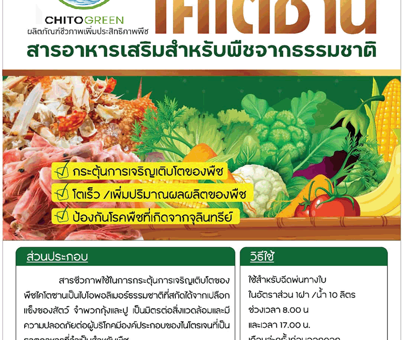 โครงการวิจัยและนวัตกรรมนี้อยู่ภายใต้แผนงาน การพัฒนาเทคโนโลยี /นวัตกรรมและการจัดการความรู้ชุมชนท้องถิ่น (การพัฒนาทักษะอาชีพ และการจัดการเรียนรู้ตลอดชีวิต)